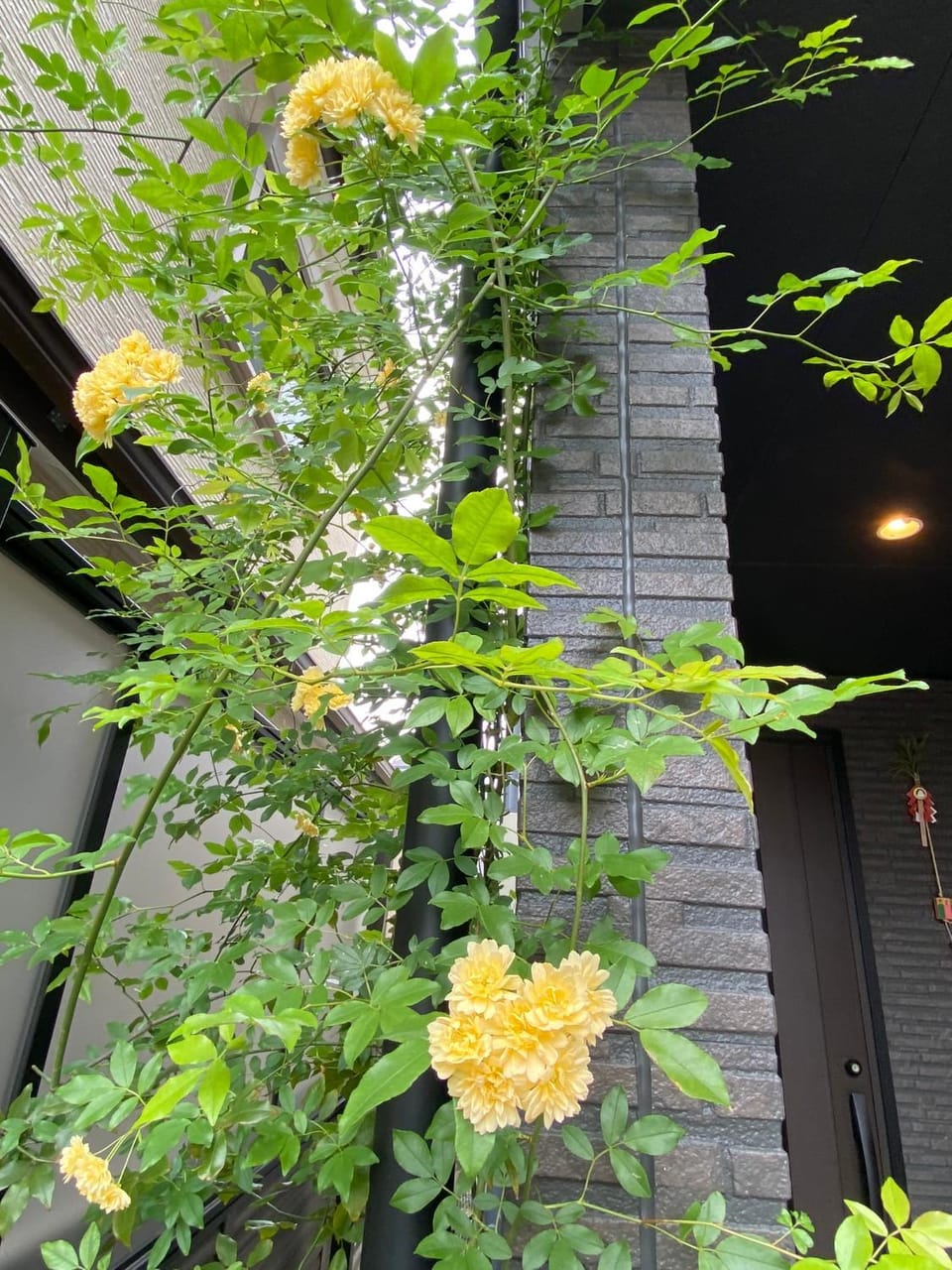 Property building, Spring, Garden, Garden view