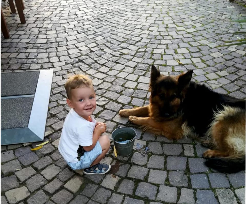Pension Sonnenhof Bed and Breakfast in Thuringia, Germany