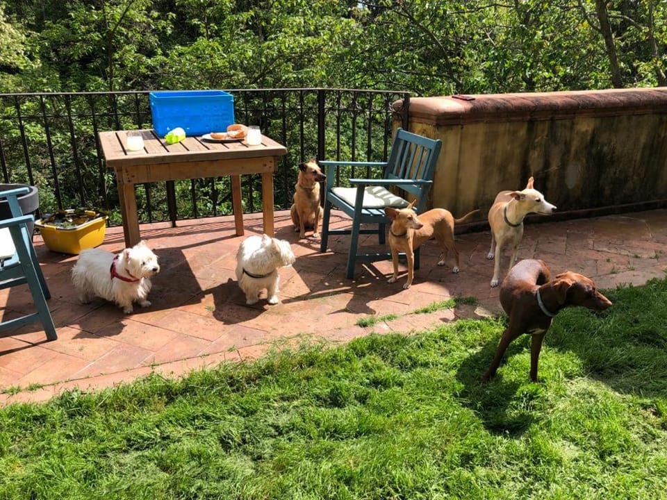 Castello di Montonate, two-bedroom apartment House in Lombardy