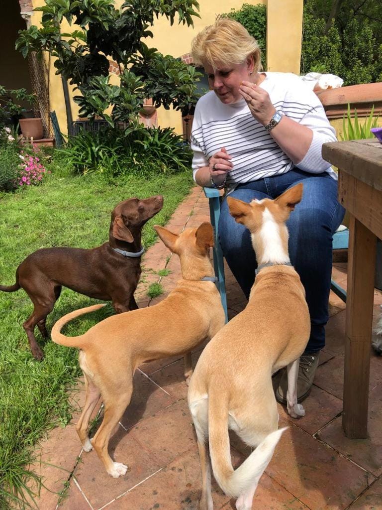 Castello di Montonate, two-bedroom apartment House in Lombardy