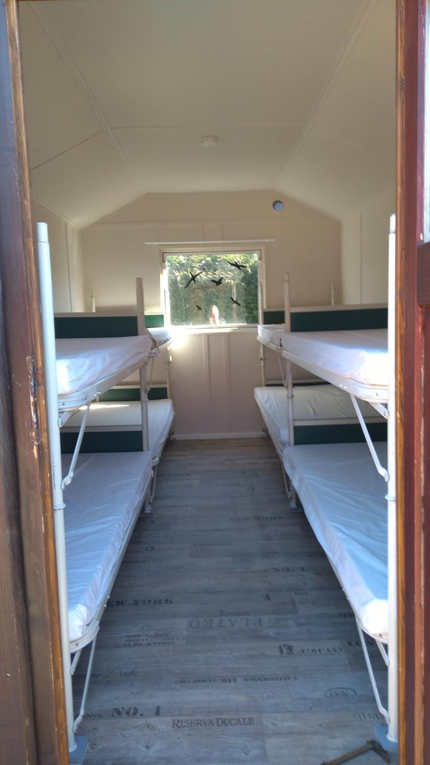 Photo of the whole room, bunk bed