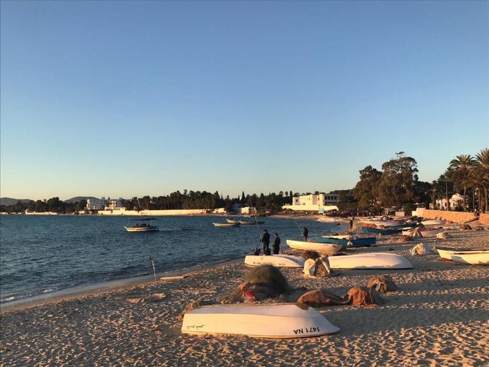 Beach, Sunrise