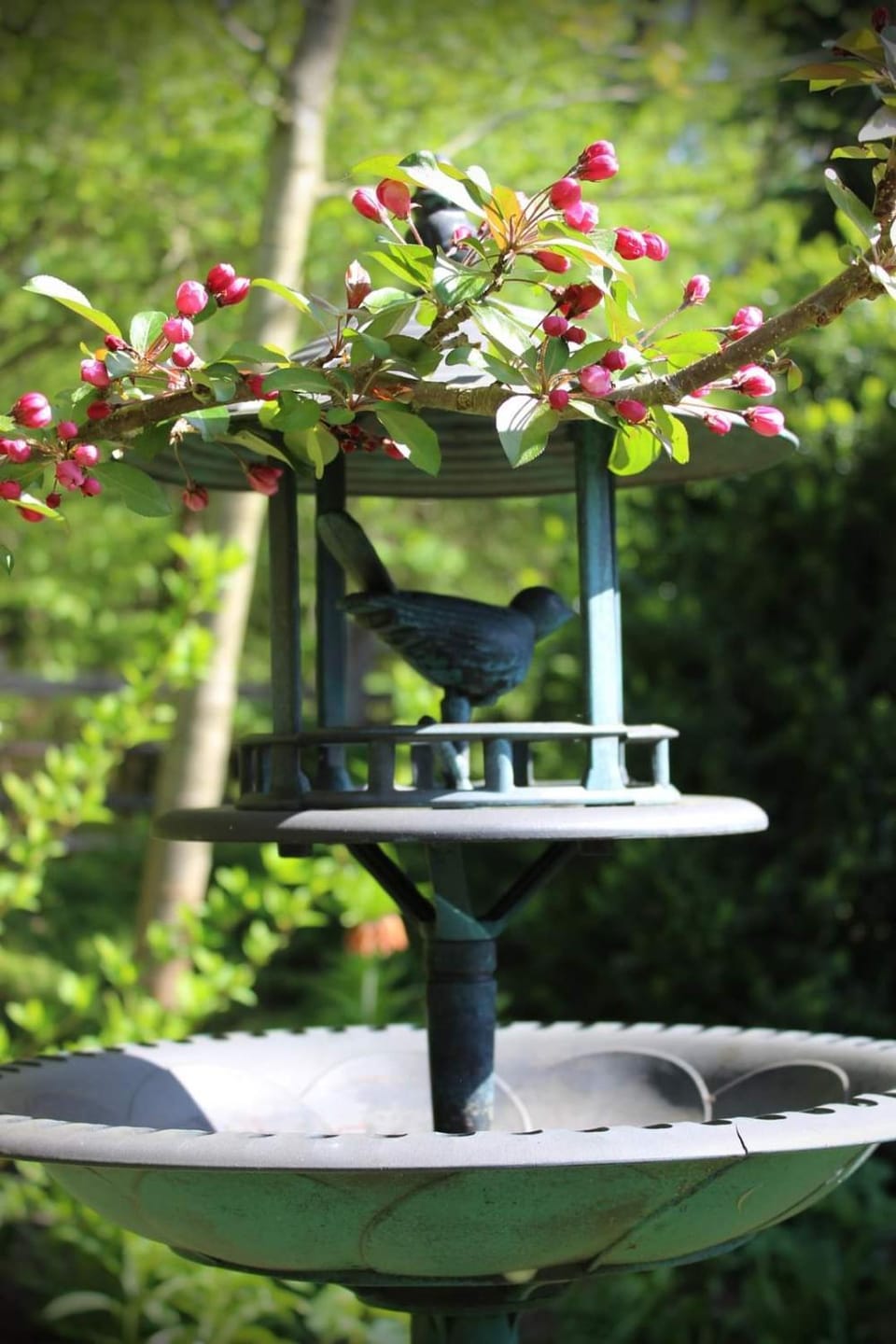 Agroturystyka Rębowo Farm Stay in West Pomeranian Voivodeship, Poland