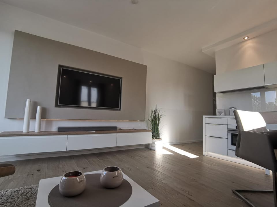 TV and multimedia