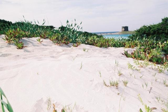 Natural landscape, Beach, Hiking