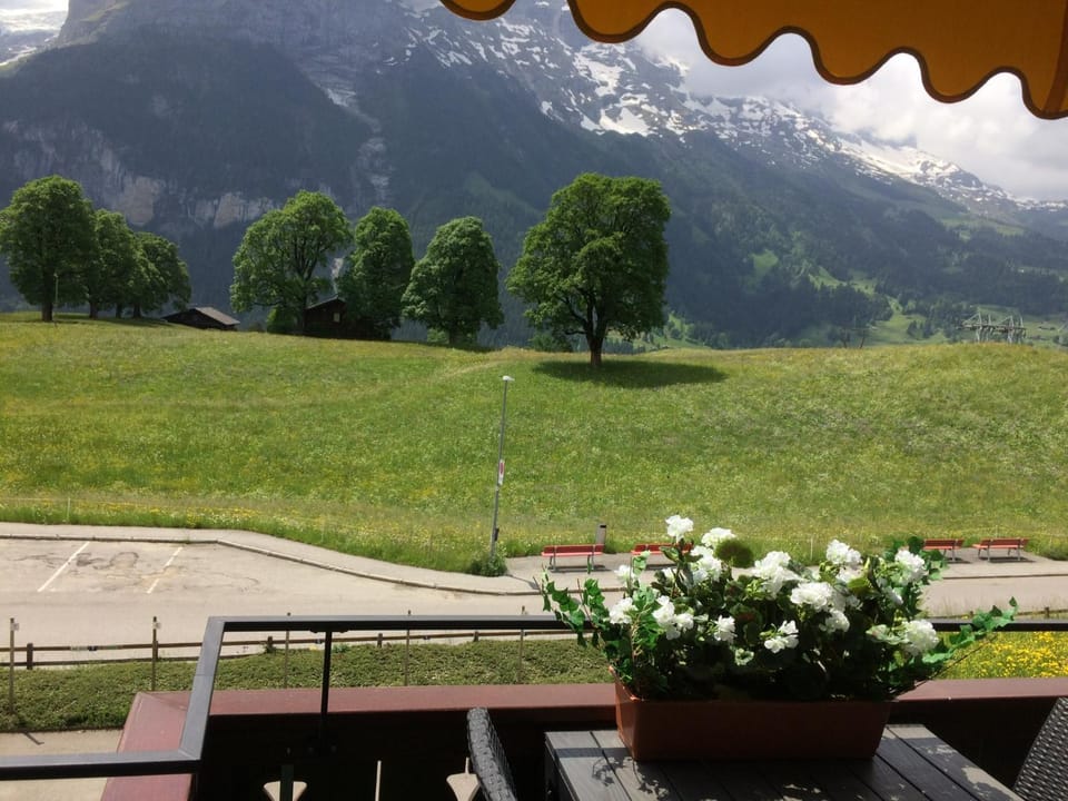Balcony/Terrace, Mountain view