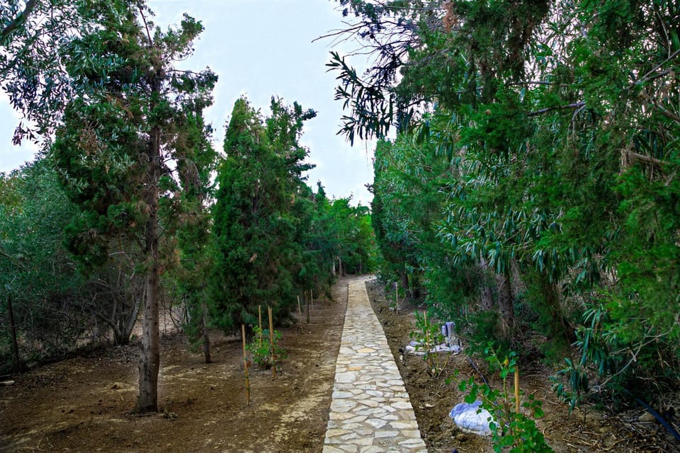 Patio, Garden