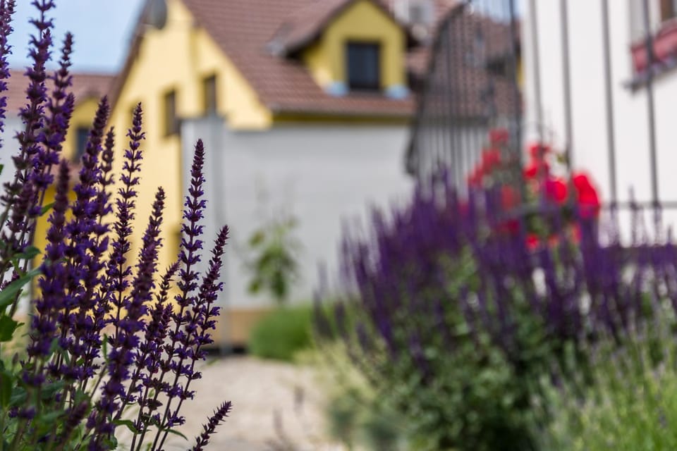 Penzion Harmonie Bed and Breakfast in South Moravian Region