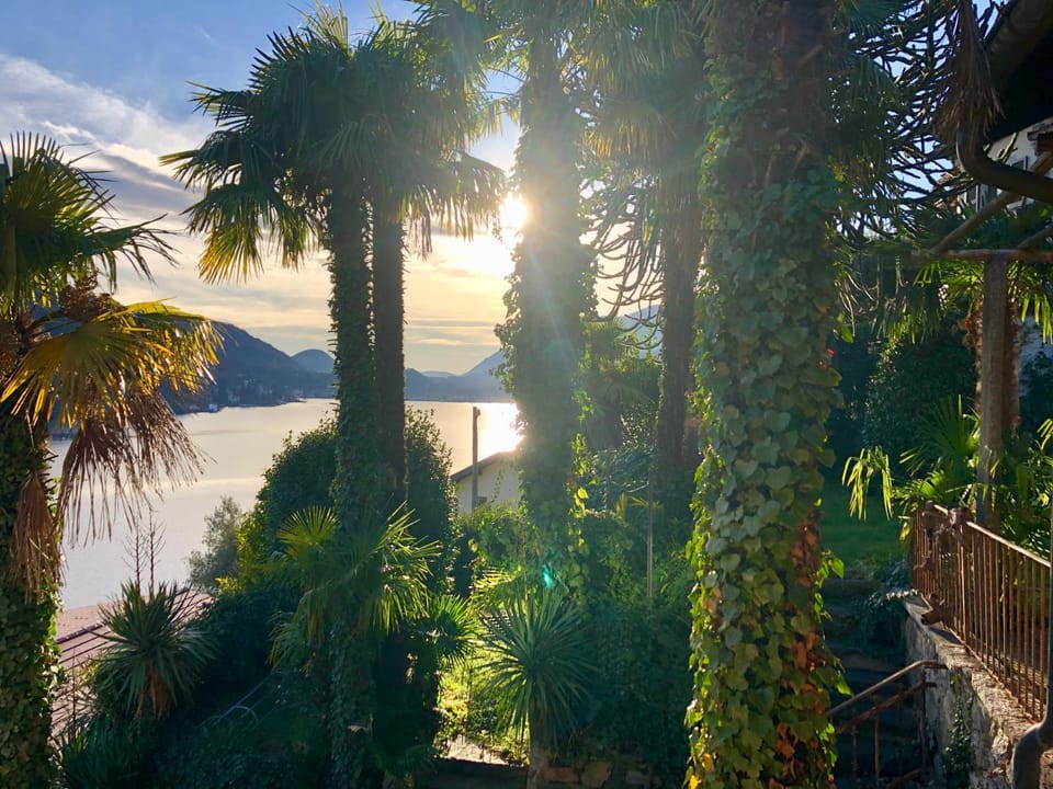 Natural landscape, Winter, Garden, Garden, Balcony/Terrace, Balcony/Terrace, On site, Garden view, Lake view, Landmark view, Sunset