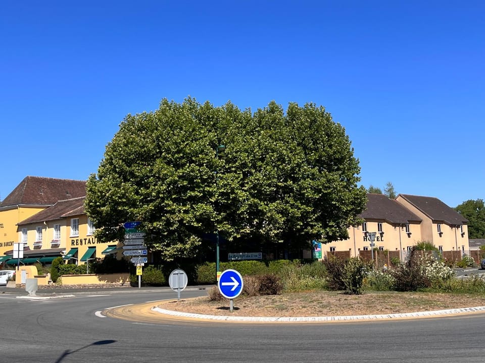 Logis Hôtel Restaurant Du Lion D'argent Et Des Tanneries Hotel in Centre-Val de Loire