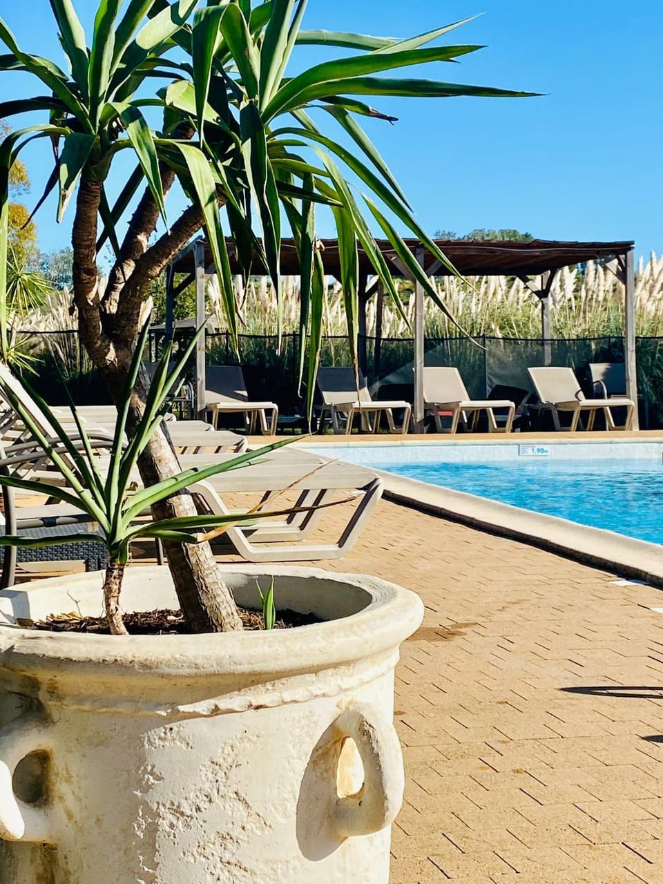 Day, Swimming pool, Swimming pool, sunbed