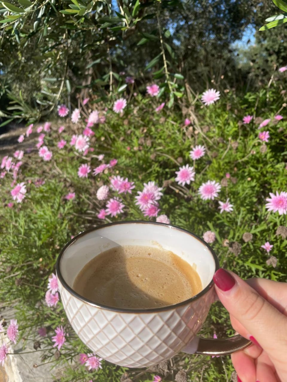 Spring, Day, Garden, Coffee/tea facilities, Garden view