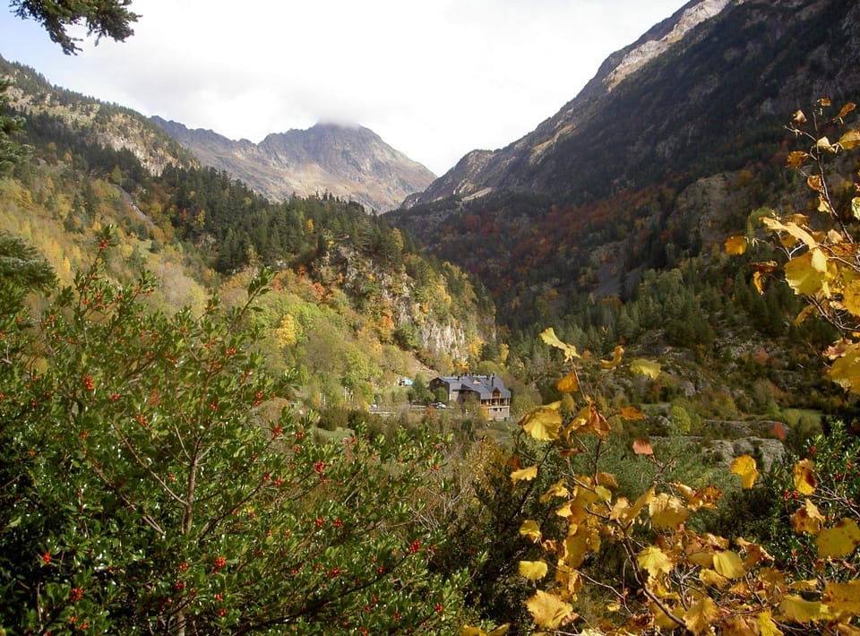 Natural landscape, Autumn, Mountain view
