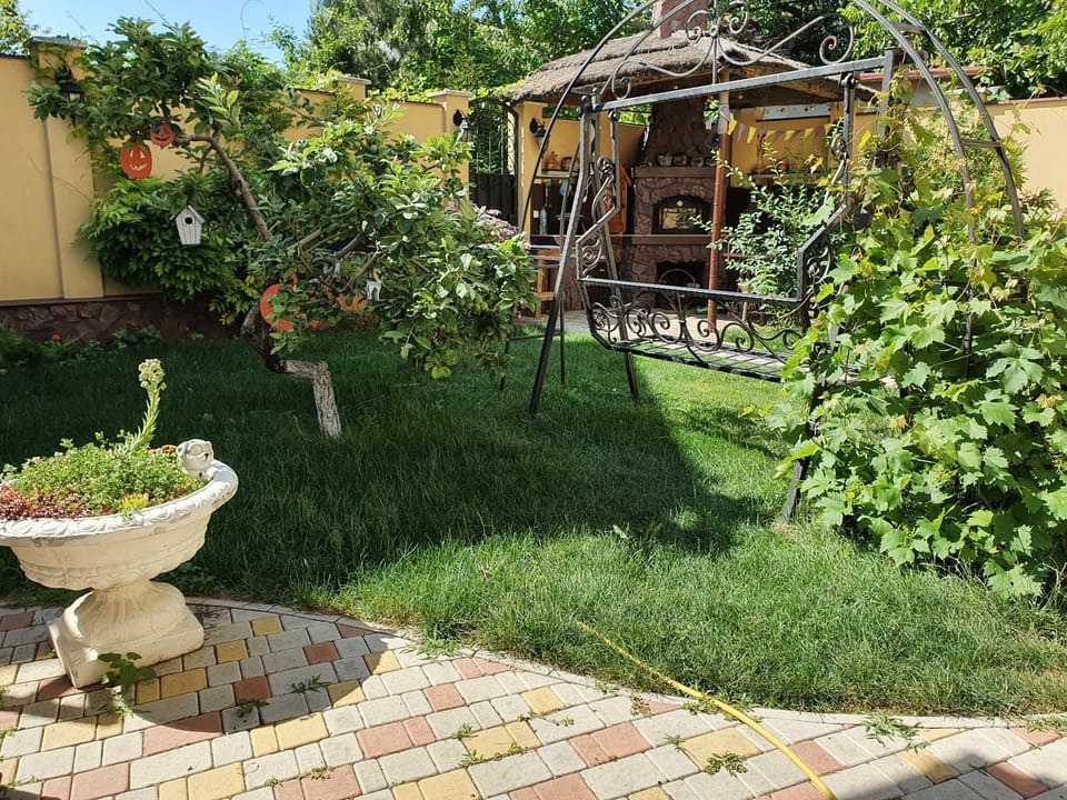 Garden view