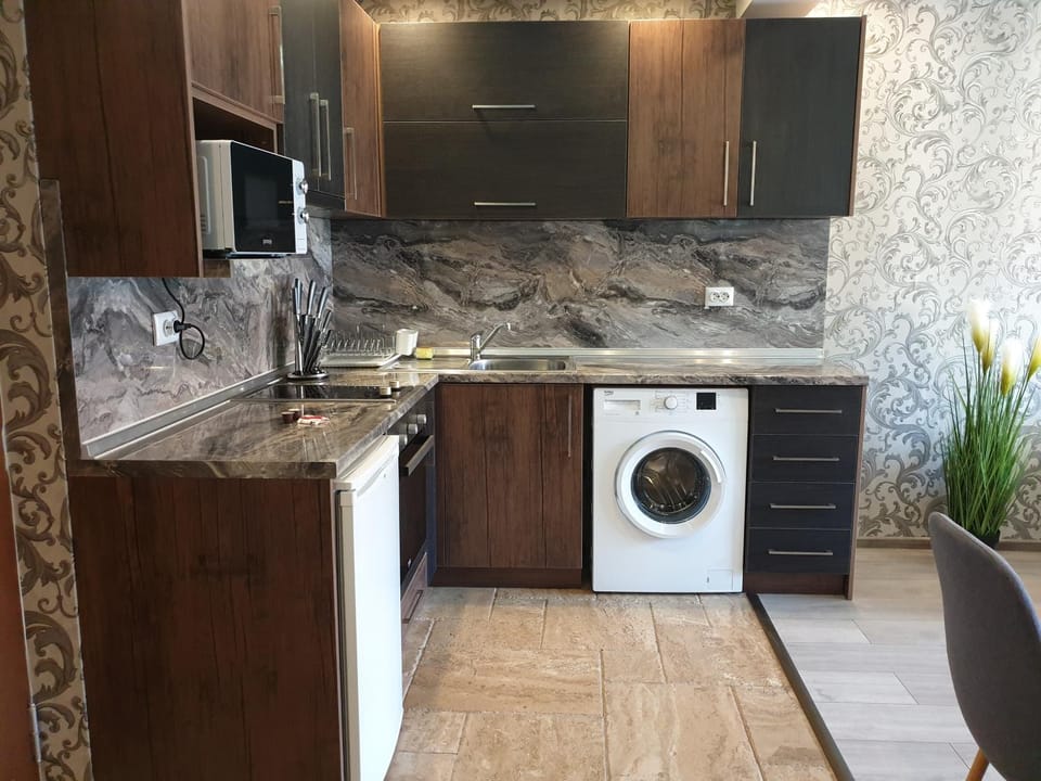 Kitchen or kitchenette, Dining area, oven, washing machine