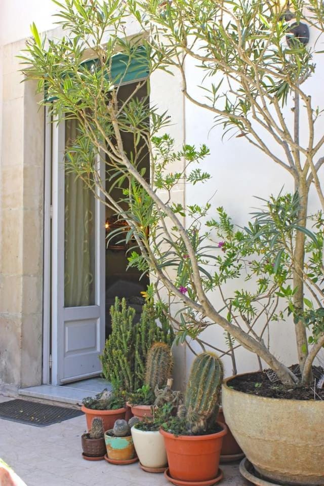 Patio, Facade/entrance