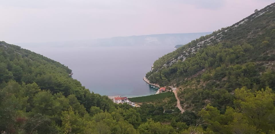 Neighbourhood, Natural landscape, Bird's eye view
