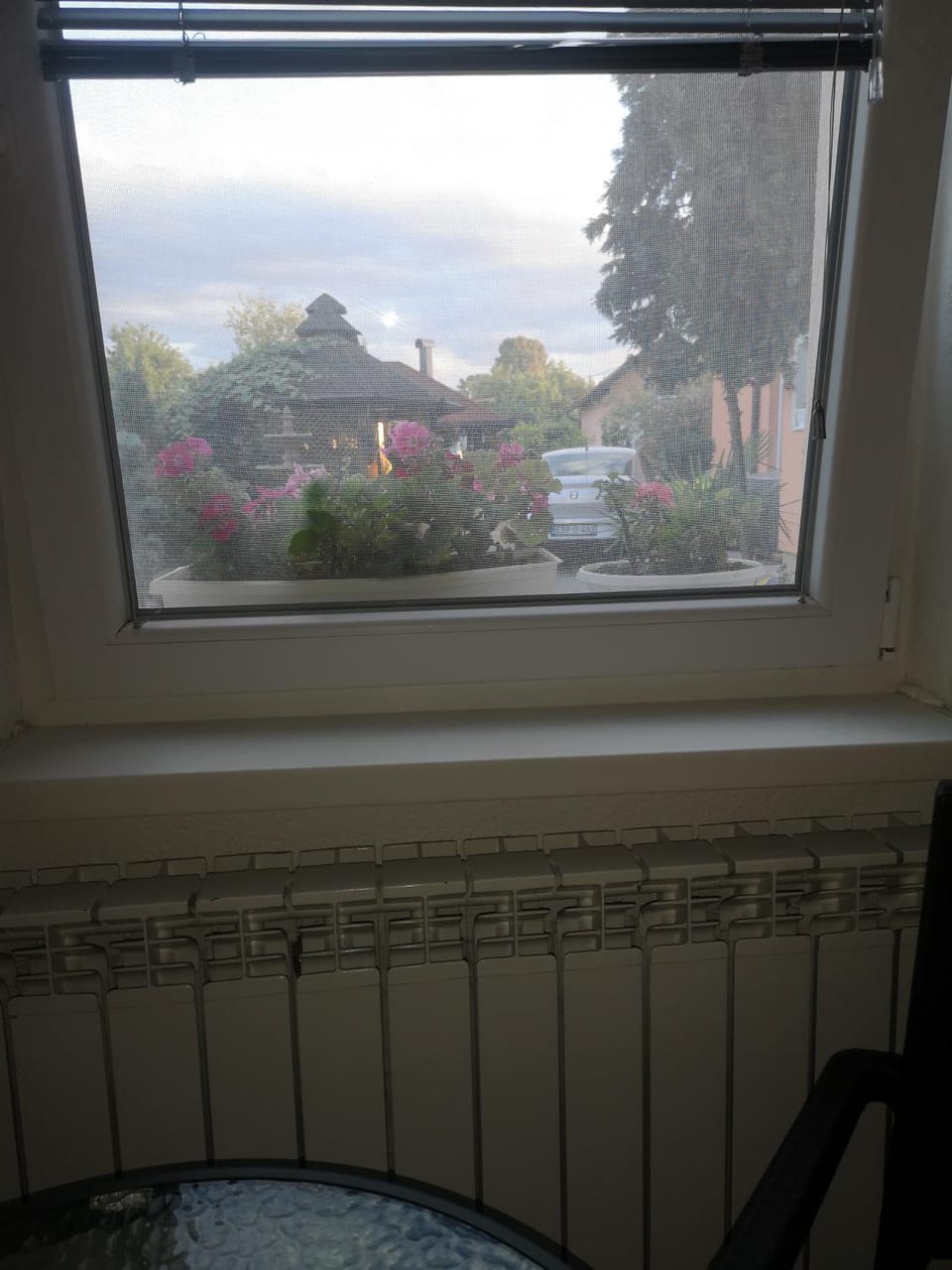 Garden view