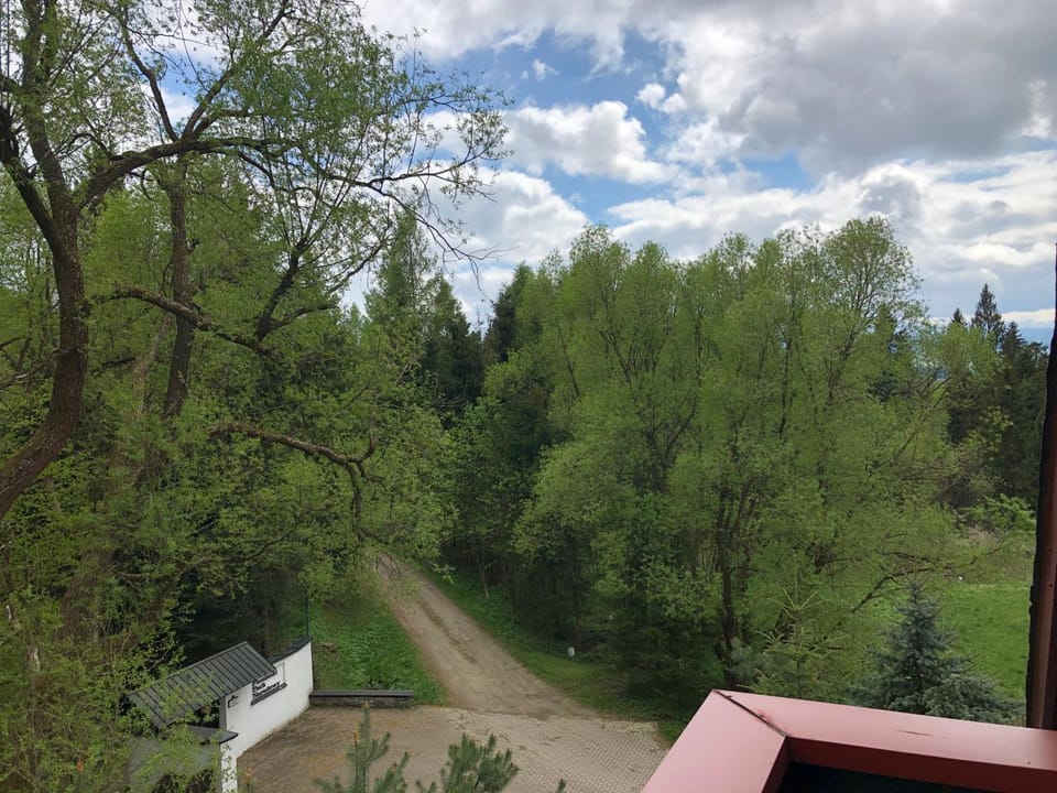 Day, Neighbourhood, Natural landscape