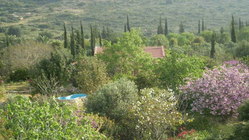 Garden, Garden