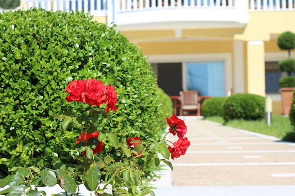 Shemesh Gardens House House in Decentralized Administration of Macedonia and Thrace