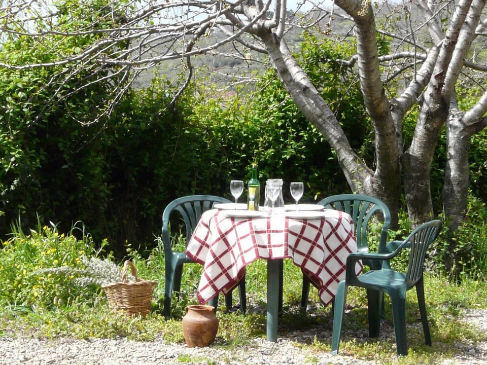 Garden, Garden view