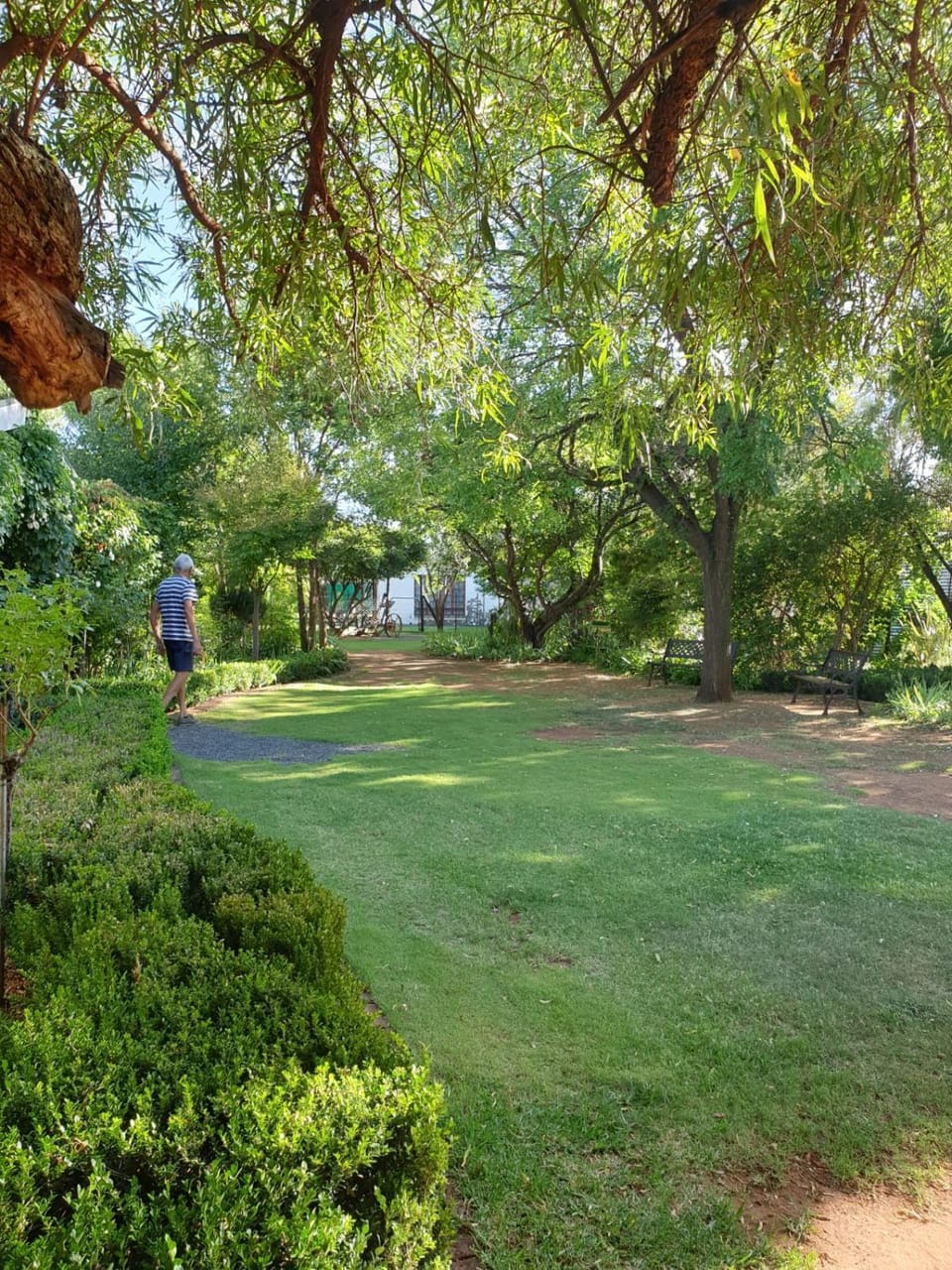 Springfontein Guesthouse Bed and Breakfast in South Africa