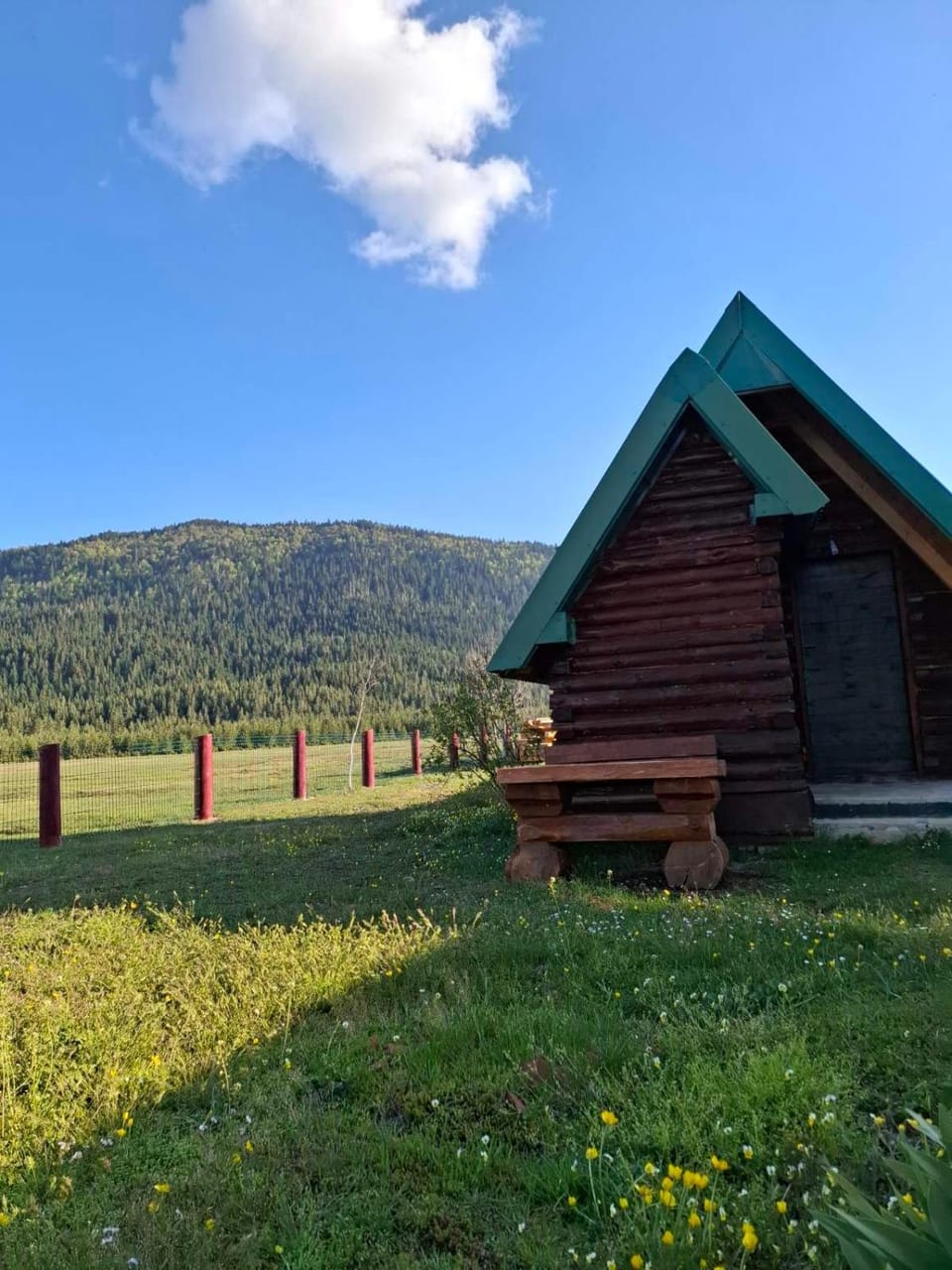 Cottage MANSION House in Zlatibor District, Serbia