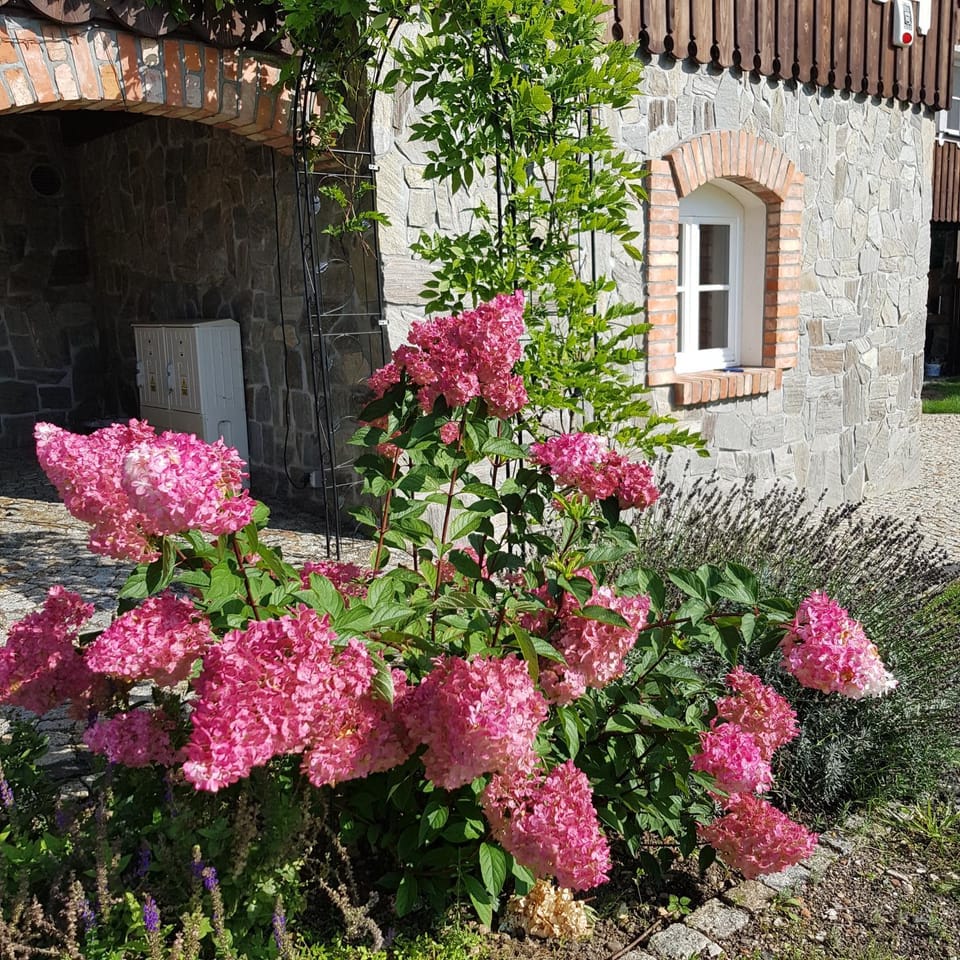 Garden, Garden view