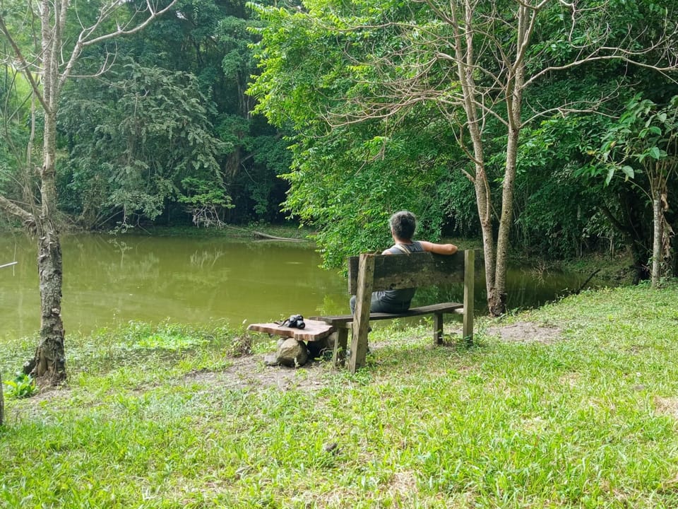 Lake view