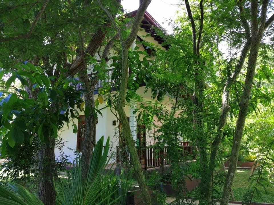 Heaven in Satinwoods Inn in Southern Province