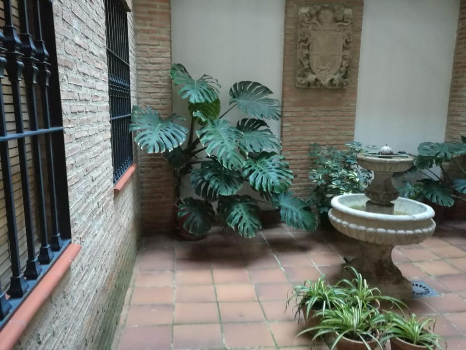 Bernardo López con opción a parking Apartment in Jaén