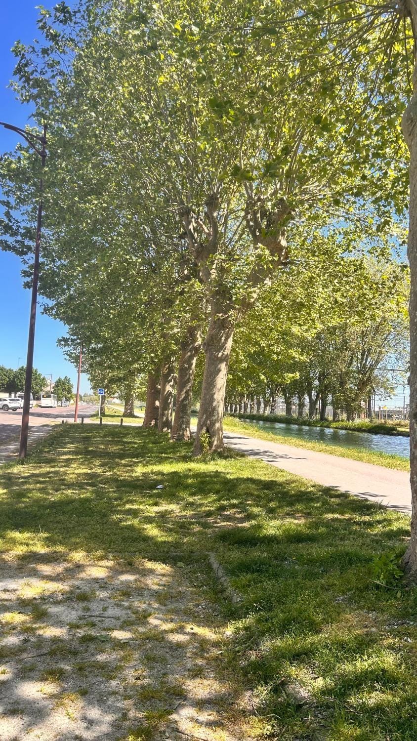 Neighbourhood