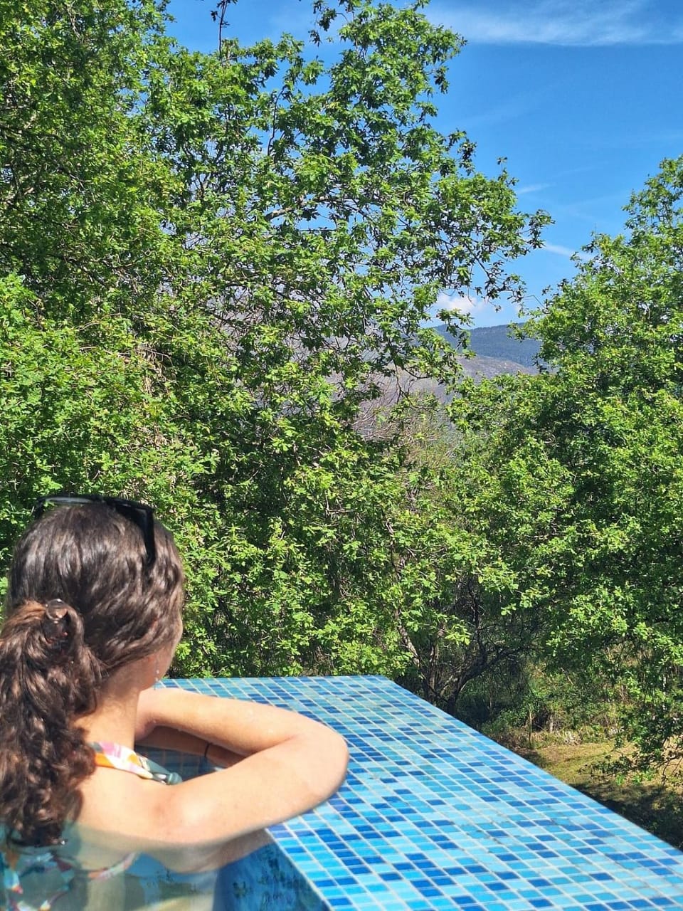 Oak Villa, Relax and Nature House in Viana do Castelo District, Portugal