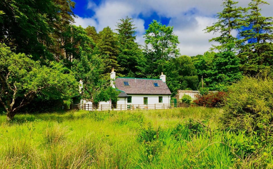 Natural landscape, Garden view