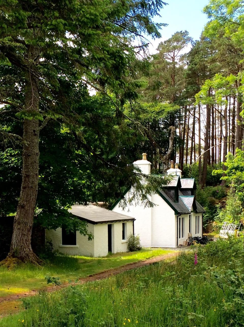 Property building, Natural landscape