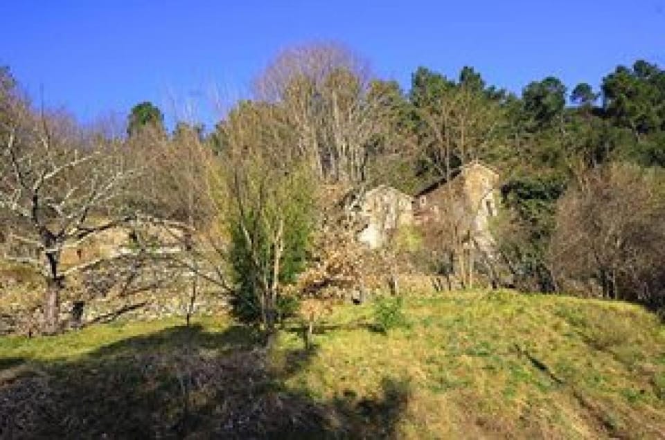 Le mas des sources cevenol Le chambon Bed and Breakfast in Occitanie