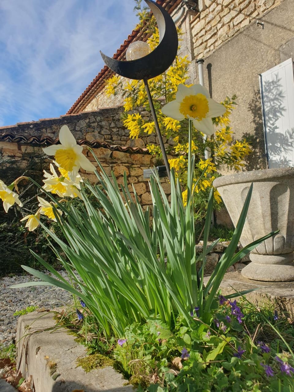 Spring, Day, Garden view