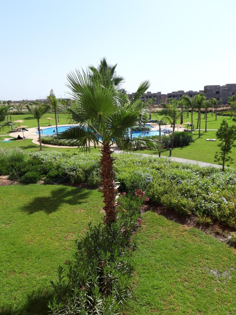 Spring, Day, Natural landscape, Garden, Garden view, Pool view, Swimming pool