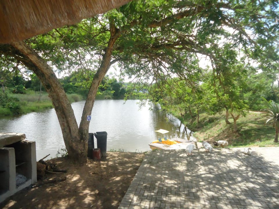 Lake view