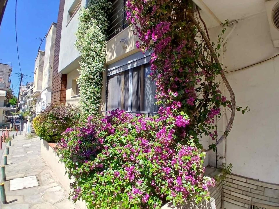 Quiet Urban Studio with Private Backyard Apartment in Thessaloniki