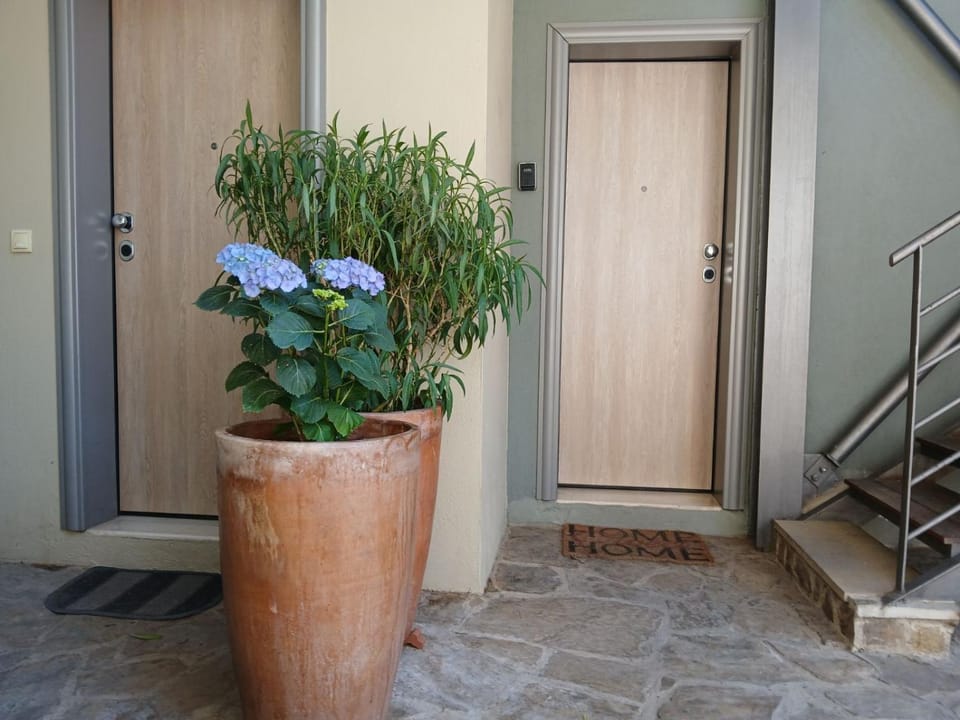 Quiet Urban Studio with Private Backyard Apartment in Thessaloniki