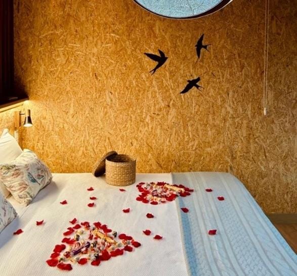 REMANSO DE TRASFONTAO Casa das Árbores & Bubble Country House in Galicia