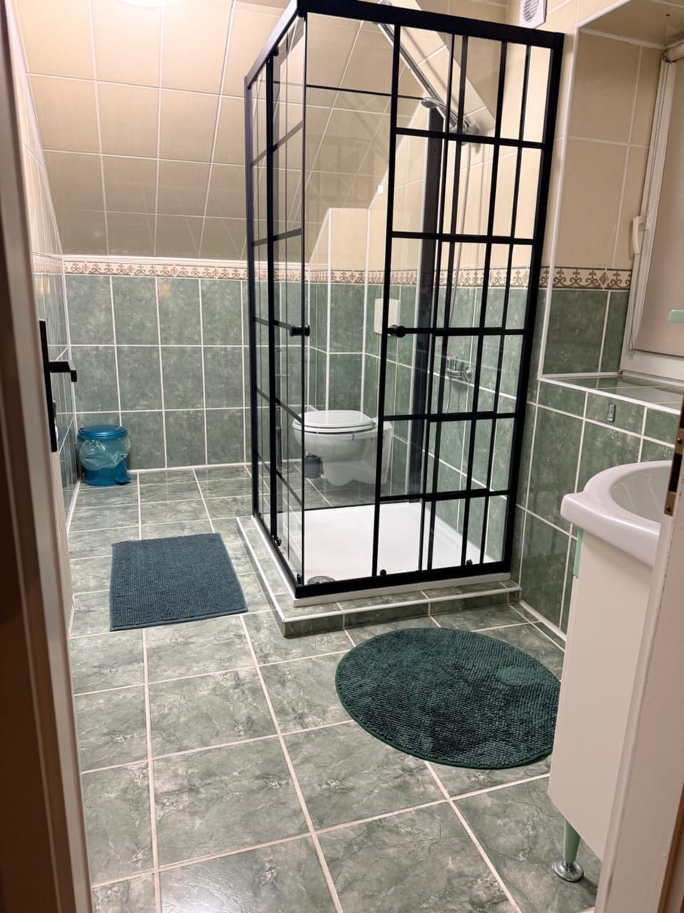 Shower, Toilet, Bathroom, towels