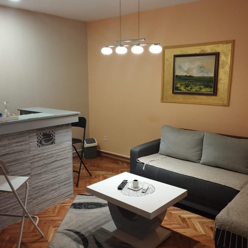 Apartmani Marić In Apartment in Serbia