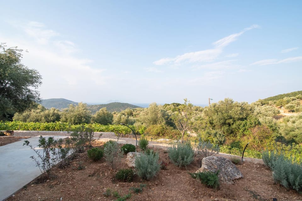 Natural landscape, Garden, View (from property/room)