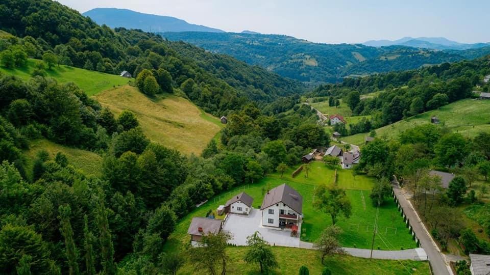 Pensiunea Diana Bed and Breakfast in Romania