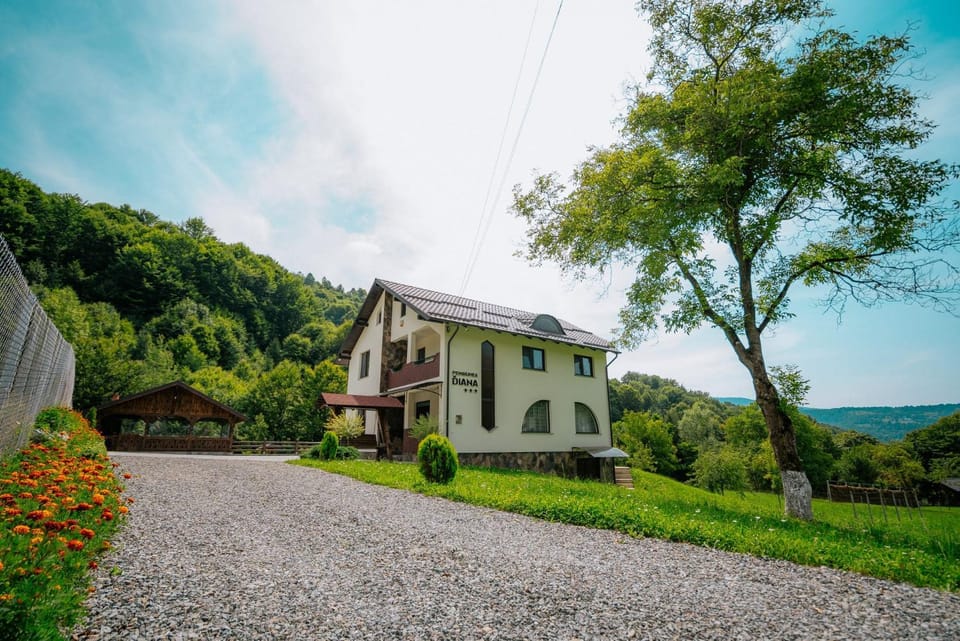 Pensiunea Diana Bed and Breakfast in Romania