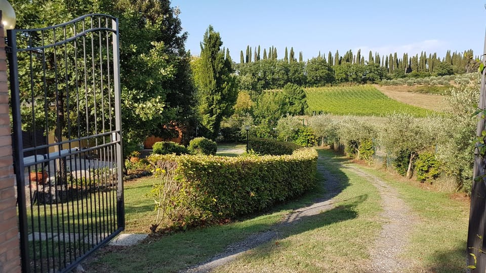 Garden, Garden, Garden view