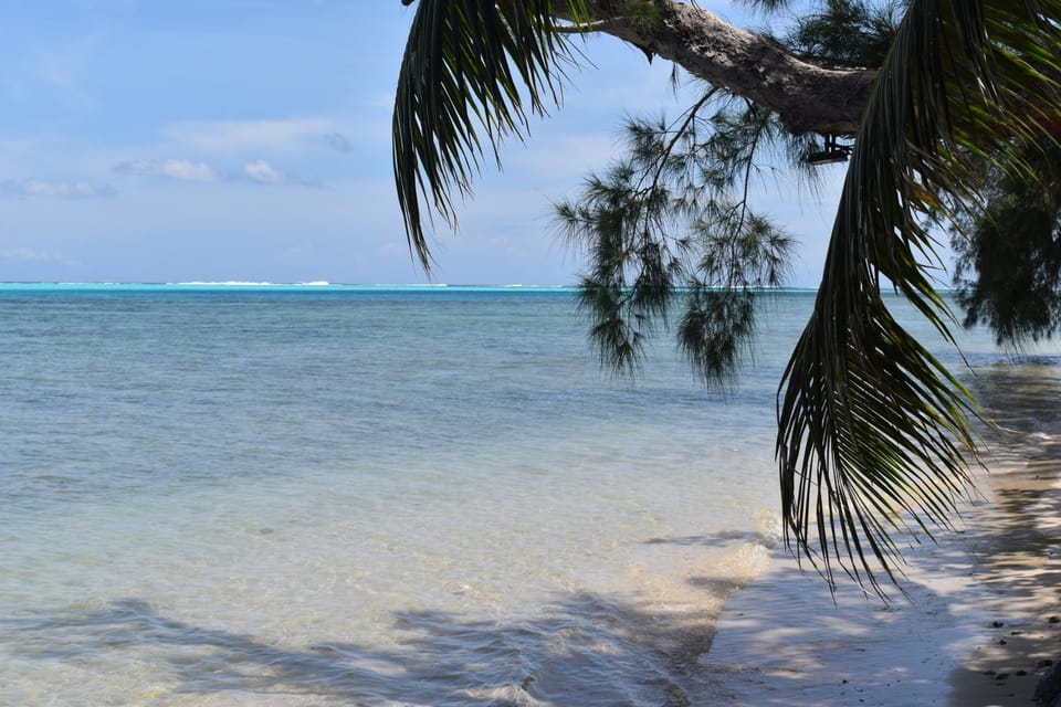 Fare Aute Beach Bed and Breakfast in Moorea-Maiao
